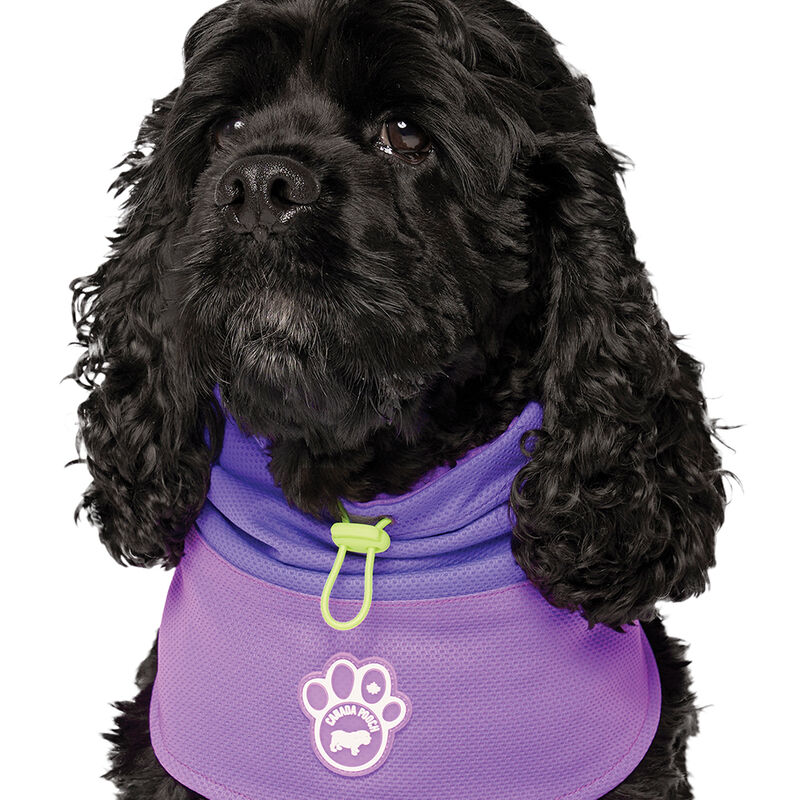 Canada Pooch, Max Chill Cooling Snood Purple image number null